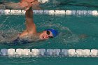 Swimming vs Babson  Wheaton College Swimming vs Babson College. - Photo By: KEITH NORDSTROM : Wheaton, Swimming, Babson